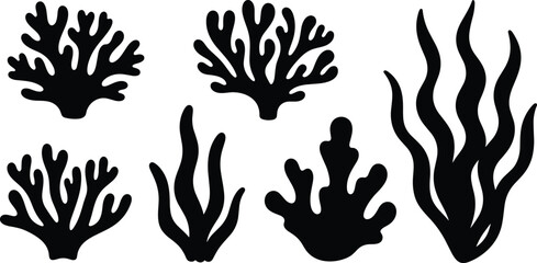 Fototapeta premium Black Seaweed and Coral Silhouette Collection with Underwater Plant Elements Isolated on White Background for Marine Life Graphic Design Projects