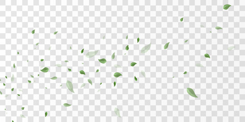 Natural green leaves flying swirl isolated on transparent background, eco nature backdrop PNG © kulinskaia