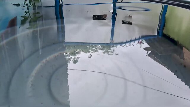 reflection of the house gate in the water in a plastic container