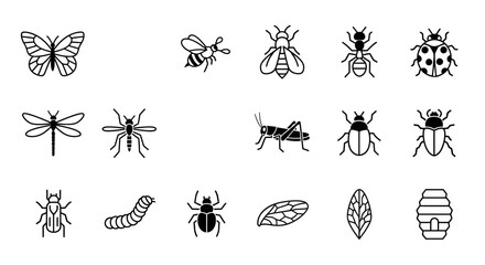 Insects and bugs icons for design and education © Muneeb