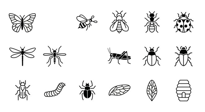 Insects and bugs icons for design and education