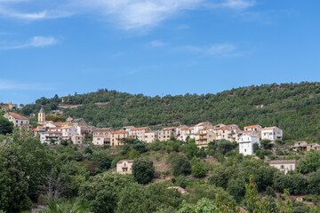 Obraz premium Venaco village and church bell tower in Corsica, France