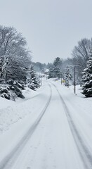 Fototapeta premium 雪景色、静寂の冬道