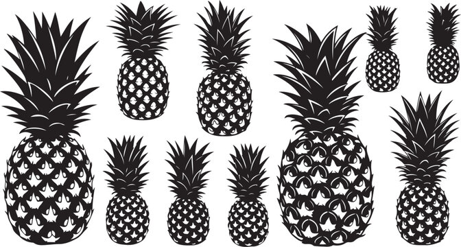 Black and white illustration of multiple pineapples on display