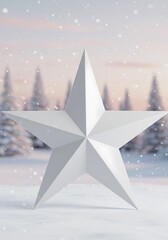 Obraz premium 冬空の白星