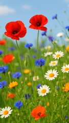 Naklejka premium Vibrant wildflowers in sunny meadow.