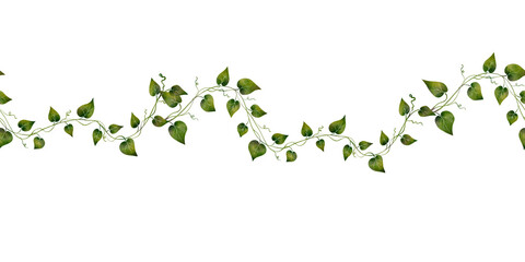Seamless tropical border with climbing vine and small green leaves. Botanical jungle repeat design for fabric, textile, wallpaper, wrapping paper, packaging, banner and decorative design. © Alona