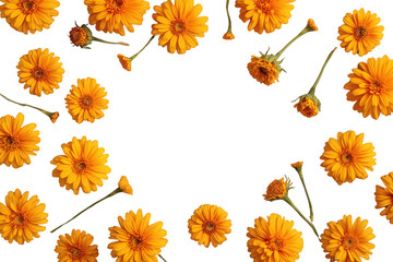 Yellow gerbera daisies forming a vibrant floral frame, creating a cheerful border for text or designs with a transparent background