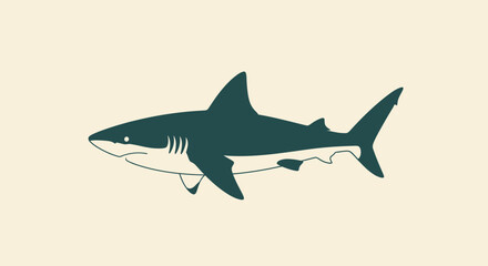Fototapeta premium Illustration of a Great White Shark.
