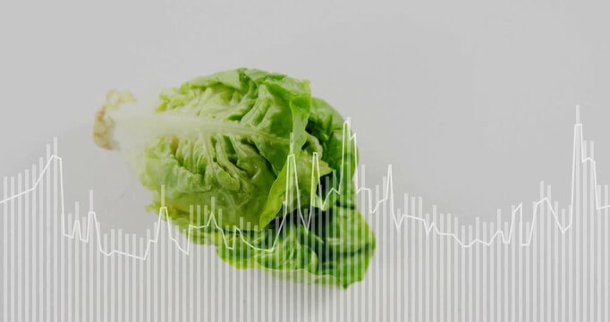 Animation of data processing over lettuce on white background