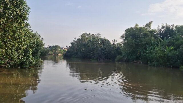 Cinematic view of a calm tropical river flowing through lush green vegetation and dense trees. Authentic natural landscape footage, perfect for environmental, travel, and sustainability projects.