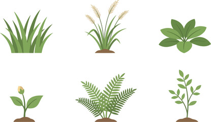 Simple Flat Illustration of Various Plant and Grass Nature Element Set © snowy