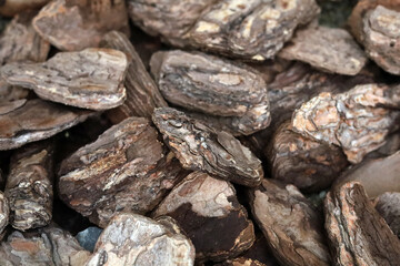 Natural pine bark mulch pieces for garden landscaping