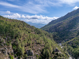 Deep Spelunca gorge valley with pine trees in Corsica France