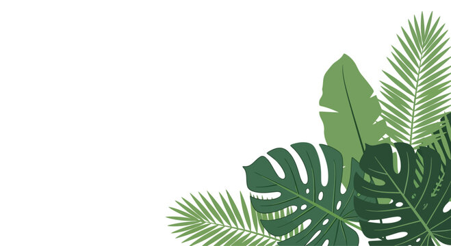 Vibrant tropical leaves, including monstera and palm fronds, create an exotic jungle-inspired border on a clean white background, perfect for summer designs and natural themes