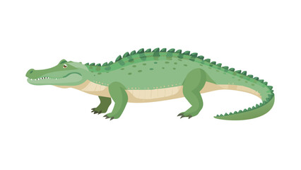 Fototapeta premium Green Crocodile Reptile Wildlife Cartoon Illustration