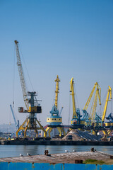 Obraz premium a row of large yellow and blue harbor cranes standing along a concrete pier in an industrial port, with seagulls perched in the foreground under a clear blue sky.