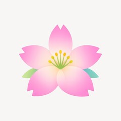 Naklejka premium Delicate pink cherry blossom illustration.