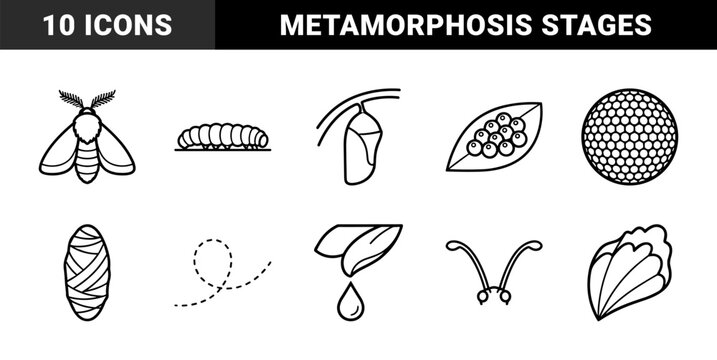 Biological life cycle and entomology research elements. Monolinear black and white diagrams featuring metamorphosis, larvae, and botanical growth stages.