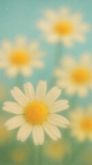 Fototapeta premium Soft focus daisies in bloom mobile wallpaper