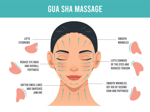 Gua sha scraper facial massage infographic. Female portrait with lines for anti wrinkle treatment steps, home beauty anti-aging routine, scraping tool tidy vector cartoon isolated concept