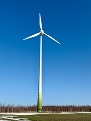 Fototapeta premium Single wind turbine standing in an open field with forest line in the background under clear blue sky and bright daylight.