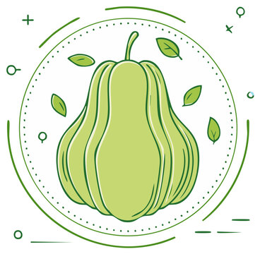 Green chayote squash illustration in a modern decorative circular frame with leaves