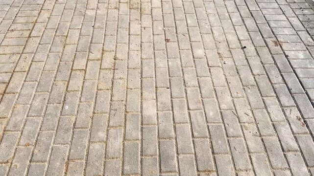 Texture of sunlit brick pavement from above, clean pedestrian sidewalk, urban background and paving stone surface