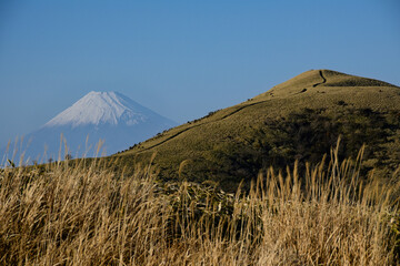 Fototapeta premium 富士山と達磨山