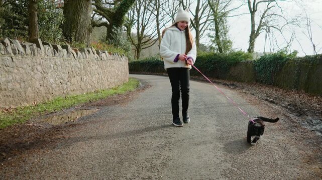 Black and white cat walking on leash with young girl, domestic pet activity and companionship. Smiling child holding leash, cat moving forward with alert eyes, casual outdoor lifestyle moment. Tuxedo