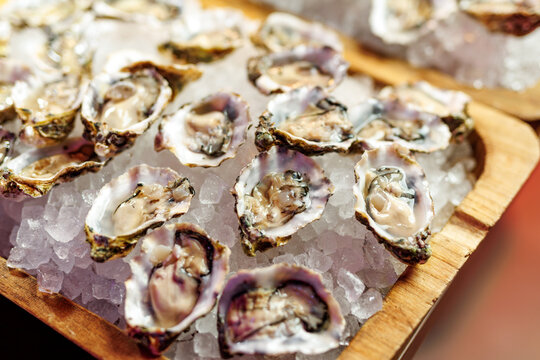 Fresh raw oysters on half shells served on crushed ice
