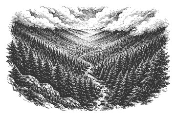 Fototapeta premium Aerial View of Deep Pine Forest Valley with River Stream Under Dramatic Clouds Hand Drawn Woodcut Engraving Style Black and White Vector Illustration Asset