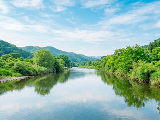 Fototapeta premium 青空と緑に囲まれた川の風景