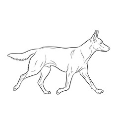 Fototapeta premium Continuous Line Drawing of a Walking Dog