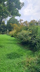 Parque de los Novios, Bogot&aacute;, COL