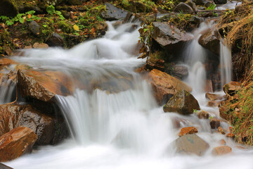 Serene forest stream cascades over mossy rocks with silky smooth water motion © Pavlo Klymenko