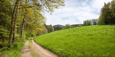 Obraz premium walkway up to Rannersdorf village, near Viechtach, lower bavaria in spring