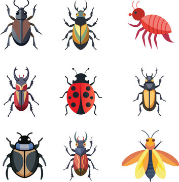 Cartoon insects Vector Illustration flea, Scarab beetle, ground beetle, leaf beetle, click beetle, stag beetle, weevil, firefly, ladybug