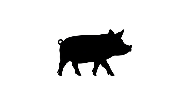 Silhouette of a pig walking