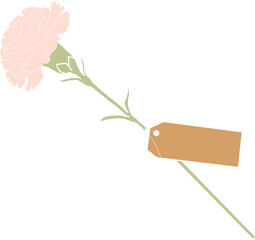 분홍 카네이션 꽃 가정의달