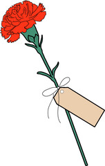 빨간 로즈 카네이션 꽃 