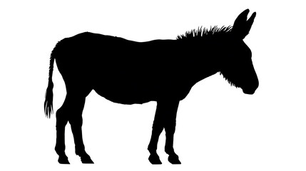 Fototapeta premium A silhouette of a donkey standing still on a surface