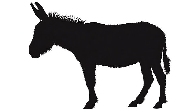 A solitary donkey stands in silhouette, its form a study in stark contrast and shadow