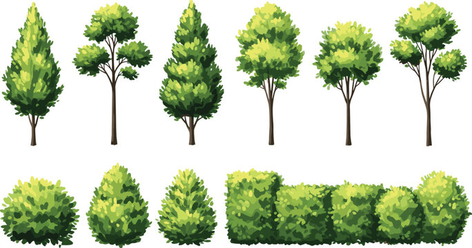 Collection of green trees bushes and shrubs isolated vector set for landscape design garden planning nature themed illustrations and backgrounds