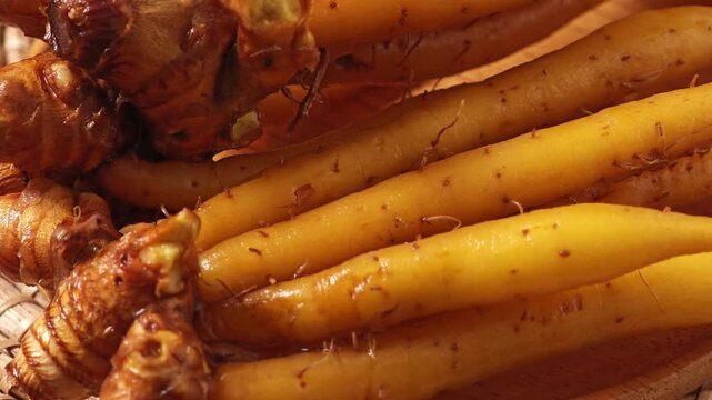 Fresh fingerroot or Chinese ginger