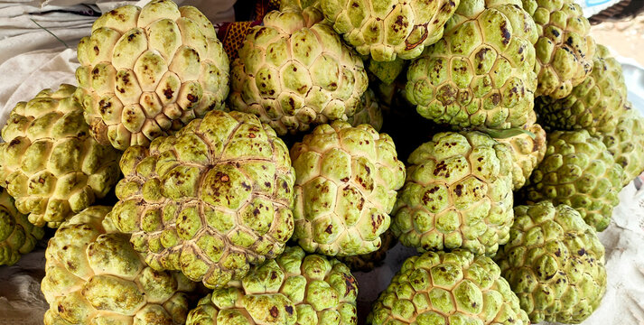 Fresh Custard Apples or Sitaphal at Local Indian Market