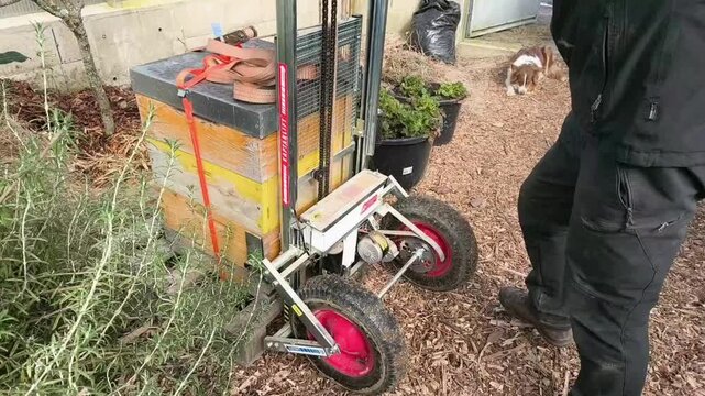 Authentic Real Footage of Beekeeper Using Professional Trolley Lifter to Transport Beehive to Apiary Site
