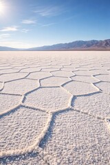 Fototapeta premium Vast, sunlit salt flats with a tiled texture, extending to a distant mountain range under a clear blue sky.