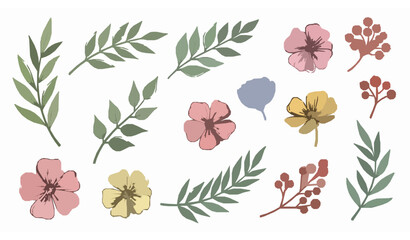 Colorful hand drawn flowers leaves and berry branches botanical vector illustration collection © MstMonisha