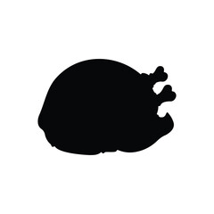 Adobe Illustrator Artwork © Ezlo